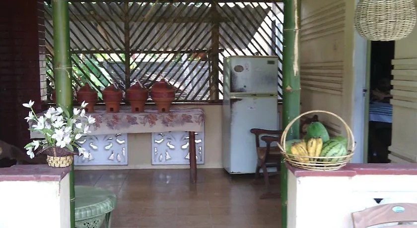 Hotel Yoho Mango House Negombo Sri Lanka