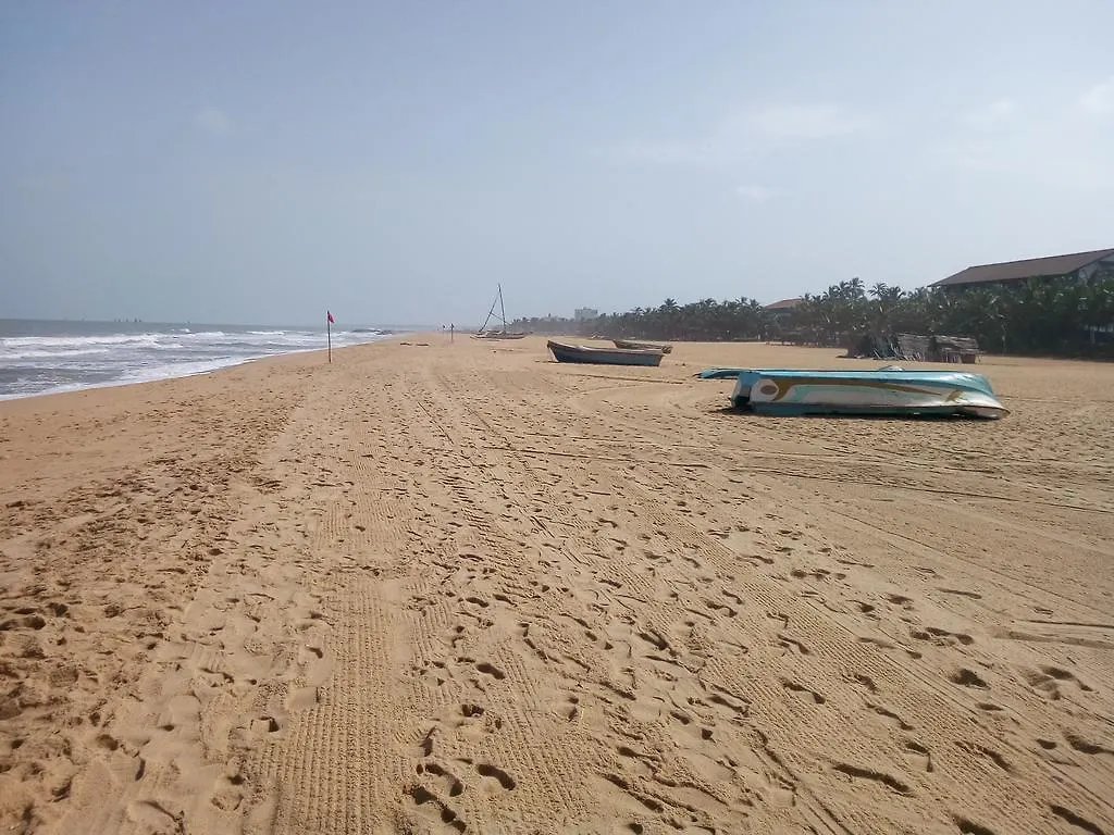 Hotel Yoho Mango House Negombo Sri Lanka