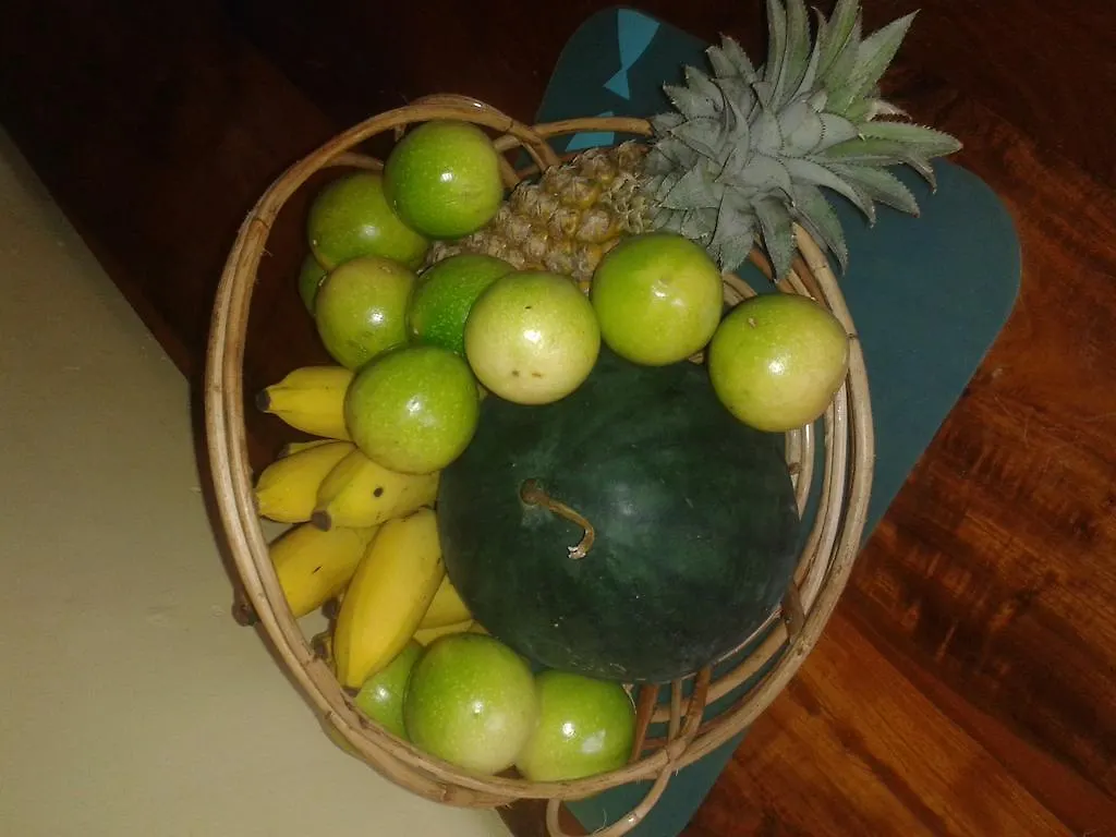 Hotel Yoho Mango House Negombo 3*,  Šrí Lanka